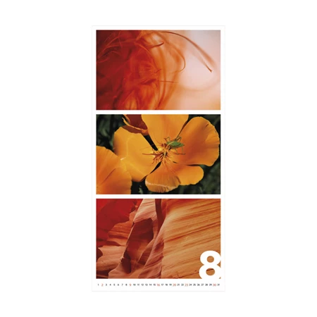 Falinaptár 2026 TOPTIMER T095 315x630mm Colors of Nature