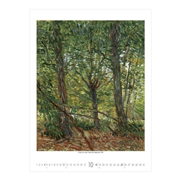 Falinaptár 2026 TOPTIMER T096 420x560mm álló Vincent Van Gogh