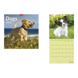 Falinaptár 2026 TOPTIMER T098 290x580mm álló Dogs