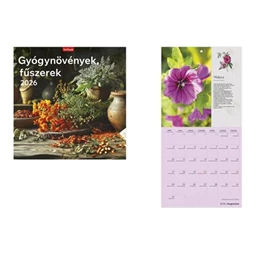 Falinaptár 2026 TOPTIMER T098 290x580mm álló Gyógynövények-fűszerek