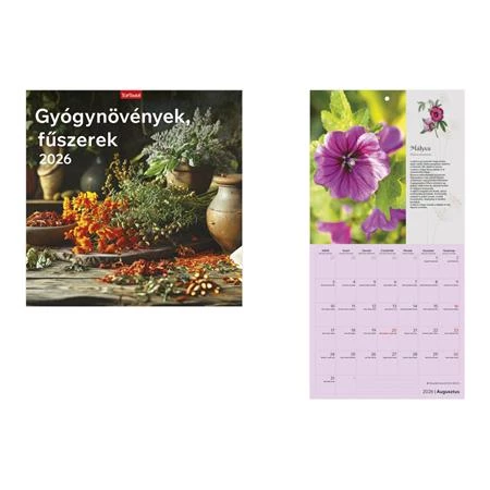 Falinaptár 2026 TOPTIMER T098 290x580mm álló Gyógynövények-fűszerek