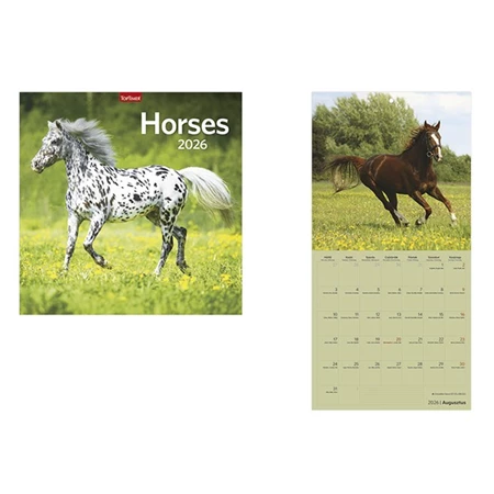 Falinaptár 2026 TOPTIMER T098 290x580mm álló Horses