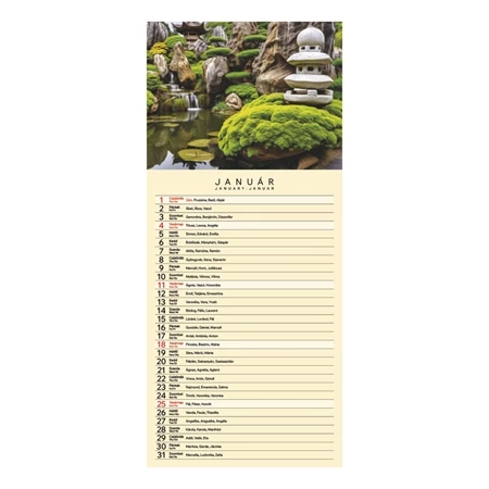 Falinaptár 2026 TOPTIMER T099 215x490mm Garden