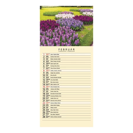 Falinaptár 2026 TOPTIMER T099 215x490mm Garden