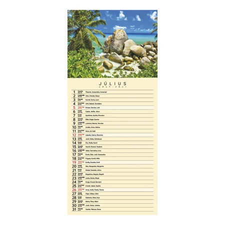 Falinaptár 2026 TOPTIMER T099 210x490mm Varázslatos tájakon