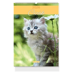 Falinaptár 2027 B/4 LIZZYCALENDAR spirál, Cicák