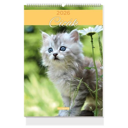 Falinaptár 2027 B/4 LIZZYCALENDAR spirál, Cicák