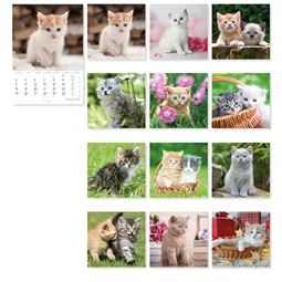 Falinaptár 2027 B/4 LIZZYCALENDAR spirál, Cicák