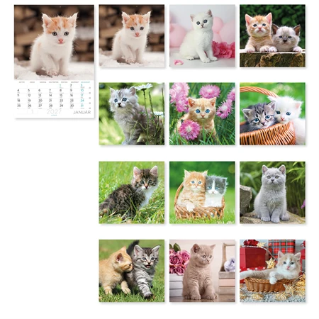 Falinaptár 2027 B/4 LIZZYCALENDAR spirál, Cicák