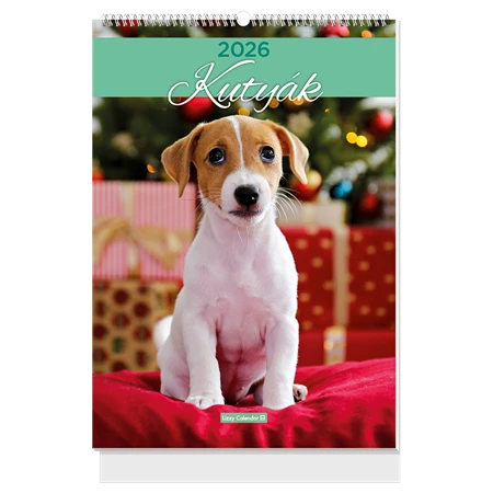 Falinaptár 2027 B/4 LIZZYCALENDAR spirál, Kutyák