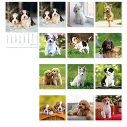 Falinaptár 2027 B/4 LIZZYCALENDAR spirál, Kutyák
