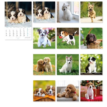 Falinaptár 2027 B/4 LIZZYCALENDAR spirál, Kutyák