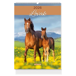 Falinaptár 2027 B/4 LIZZYCALENDAR spirál, Lovak