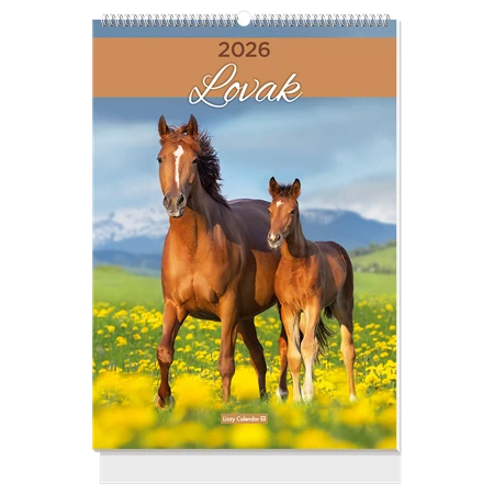 Falinaptár 2027 B/4 LIZZYCALENDAR spirál, Lovak