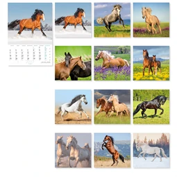 Falinaptár 2027 B/4 LIZZYCALENDAR spirál, Lovak