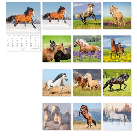 Falinaptár 2027 B/4 LIZZYCALENDAR spirál, Lovak