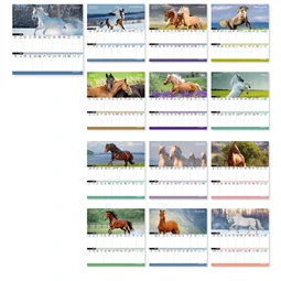 Falinaptár 2027 LIZZYCALENDAR kéthetes tervező mágneses Lovak