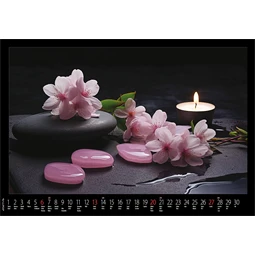 Falinaptár 2027 REAL 460 x 320mm Meditáció spirálos 6091