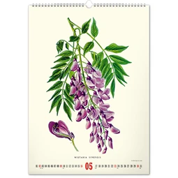 Falinaptár 2027 REAL 460 x 330mm Herbarium
