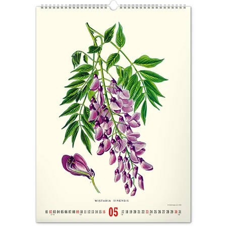 Falinaptár 2027 REAL 460 x 330mm Herbarium