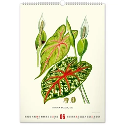 Falinaptár 2027 REAL 460 x 330mm Herbarium