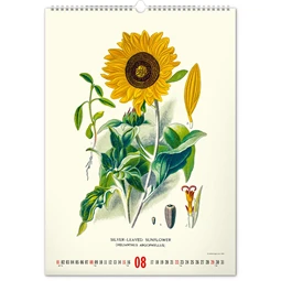 Falinaptár 2027 REAL 460 x 330mm Herbarium