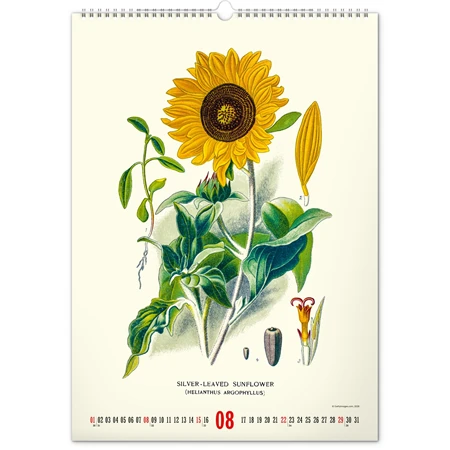 Falinaptár 2027 REAL 460 x 330mm Herbarium