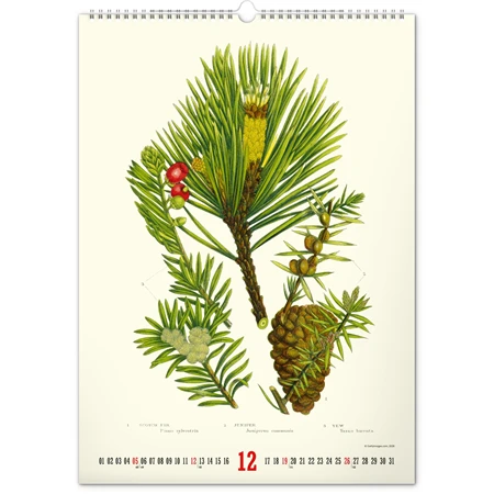 Falinaptár 2027 REAL 460 x 330mm Herbarium