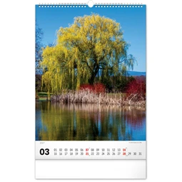 Falinaptár 2027 REAL 460 x 330mm Trees