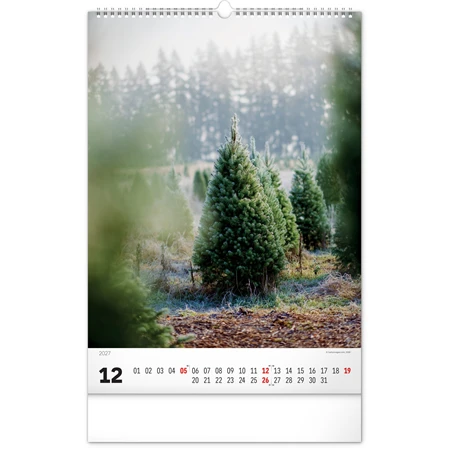 Falinaptár 2027 REAL 460 x 330mm Trees