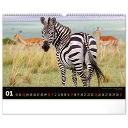 Falinaptár 2027 REAL 480 x 330mm Wild Africa