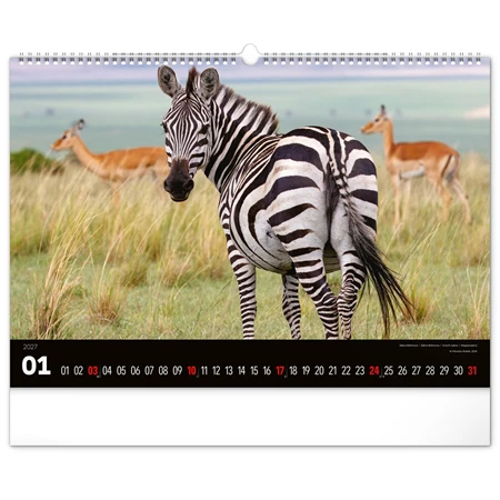 Falinaptár 2027 REAL 480 x 330mm Wild Africa