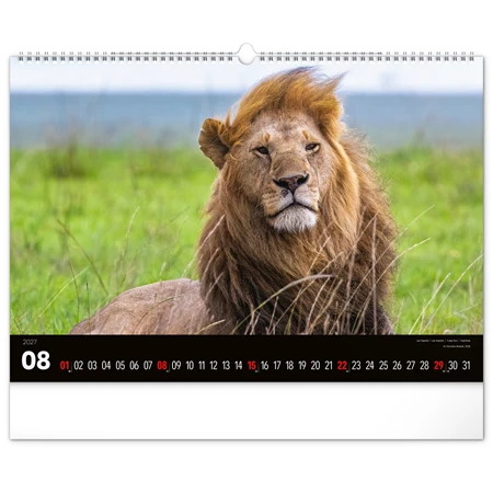 Falinaptár 2027 REAL 480 x 330mm Wild Africa