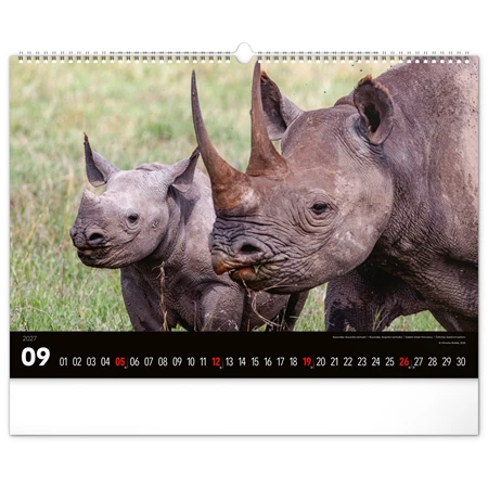 Falinaptár 2027 REAL 480 x 330mm Wild Africa