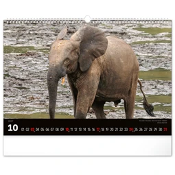 Falinaptár 2027 REAL 480 x 330mm Wild Africa