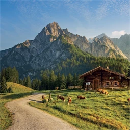 Falinaptár 2027 REAL lemez 300 x 600mm Alps