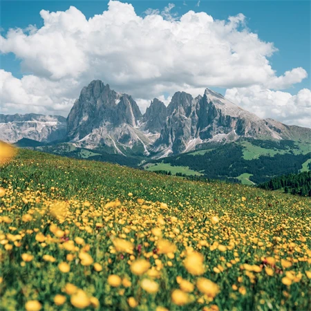 Falinaptár 2027 REAL lemez 300 x 600mm Alps
