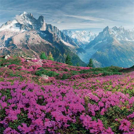 Falinaptár 2027 REAL lemez 300 x 600mm Alps