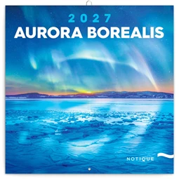 Falinaptár 2027 REAL lemez 300 x 600mm Aurora Borealis