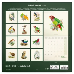 Falinaptár 2027 REAL lemez 300 x 600mm Birds
