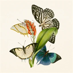 Falinaptár 2027 REAL lemez 300 x 600mm Butterfly