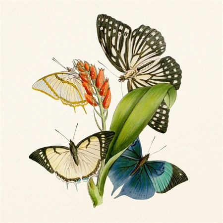 Falinaptár 2027 REAL lemez 300 x 600mm Butterfly