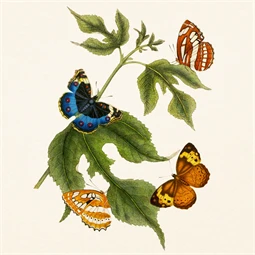 Falinaptár 2027 REAL lemez 300 x 600mm Butterfly