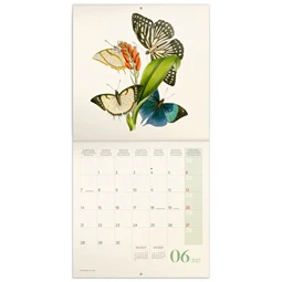 Falinaptár 2027 REAL lemez 300 x 600mm Butterfly