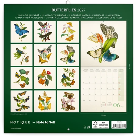 Falinaptár 2027 REAL lemez 300 x 600mm Butterfly