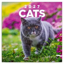 Falinaptár 2027 REAL lemez 300 x 600mm Cats
