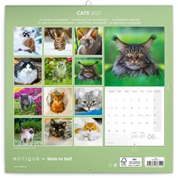 Falinaptár 2027 REAL lemez 300 x 600mm Cats