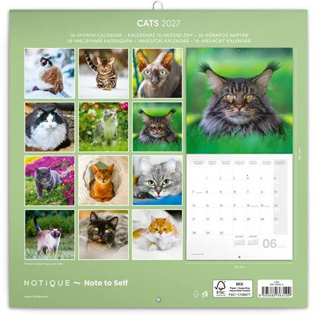 Falinaptár 2027 REAL lemez 300 x 600mm Cats
