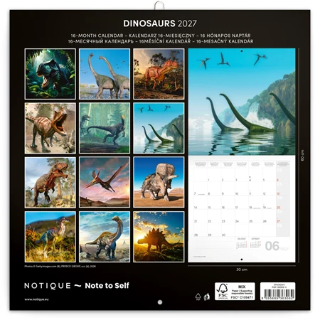 Falinaptár 2027 REAL lemez 300 x 600mm Dinosaurs