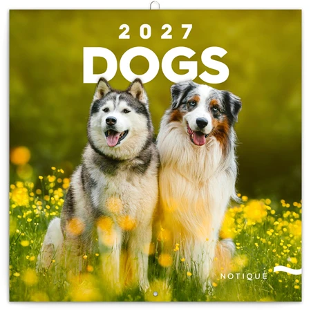 Falinaptár 2027 REAL lemez 300 x 600mm Dogs